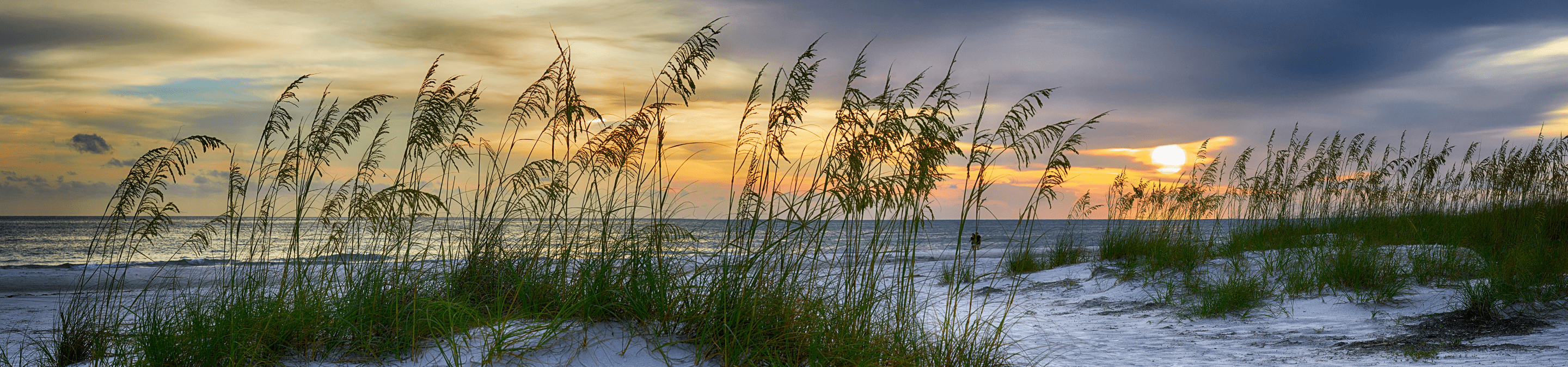 view through tall grass on sand dunes as the sun begins to set over the gulf of Mexico off the coast of Anna Maria Island