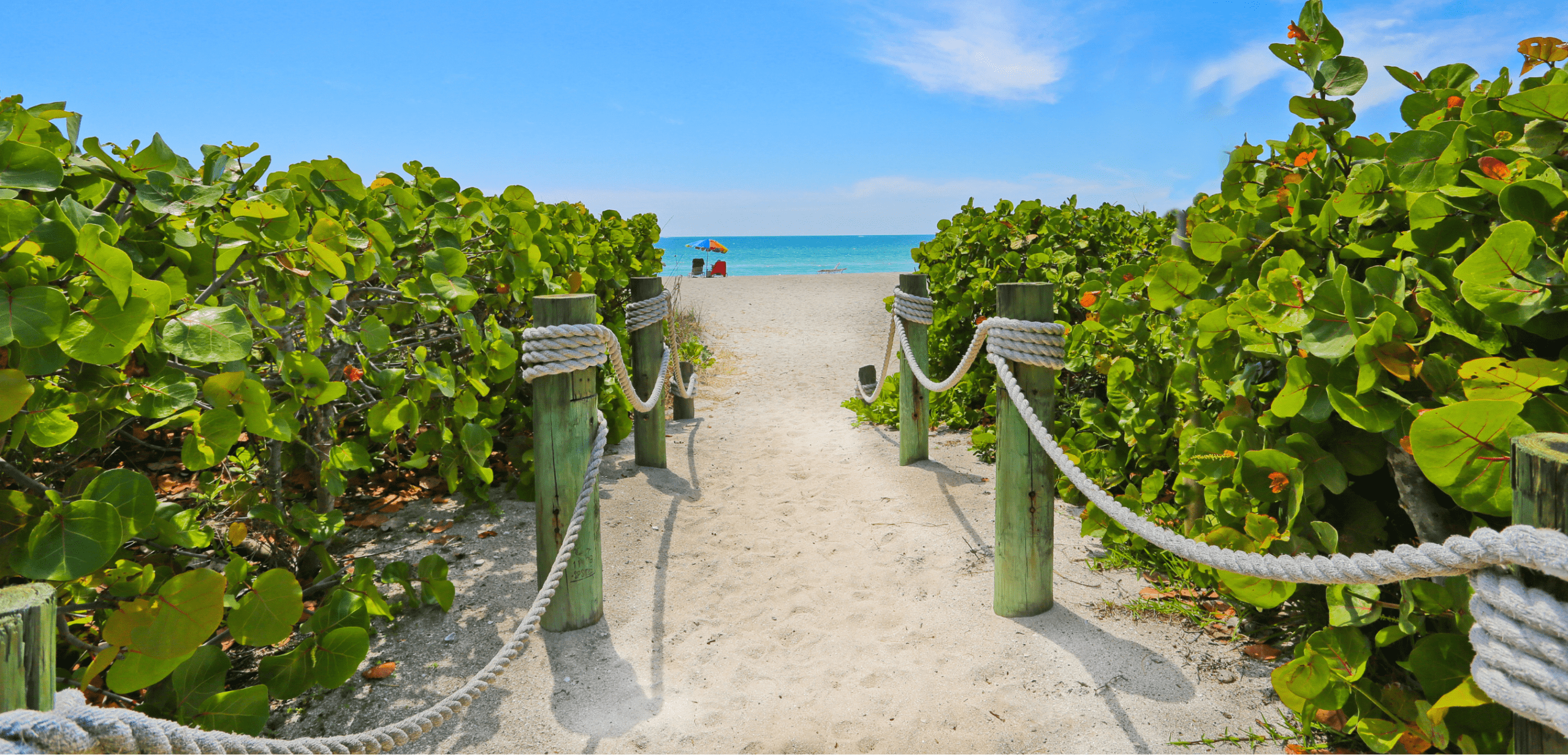 sandy walkway guided by pillars with a large rope tied along each pillar like a handrail with green bushes running along the sides of the path going to the beach on Anna Maria Island